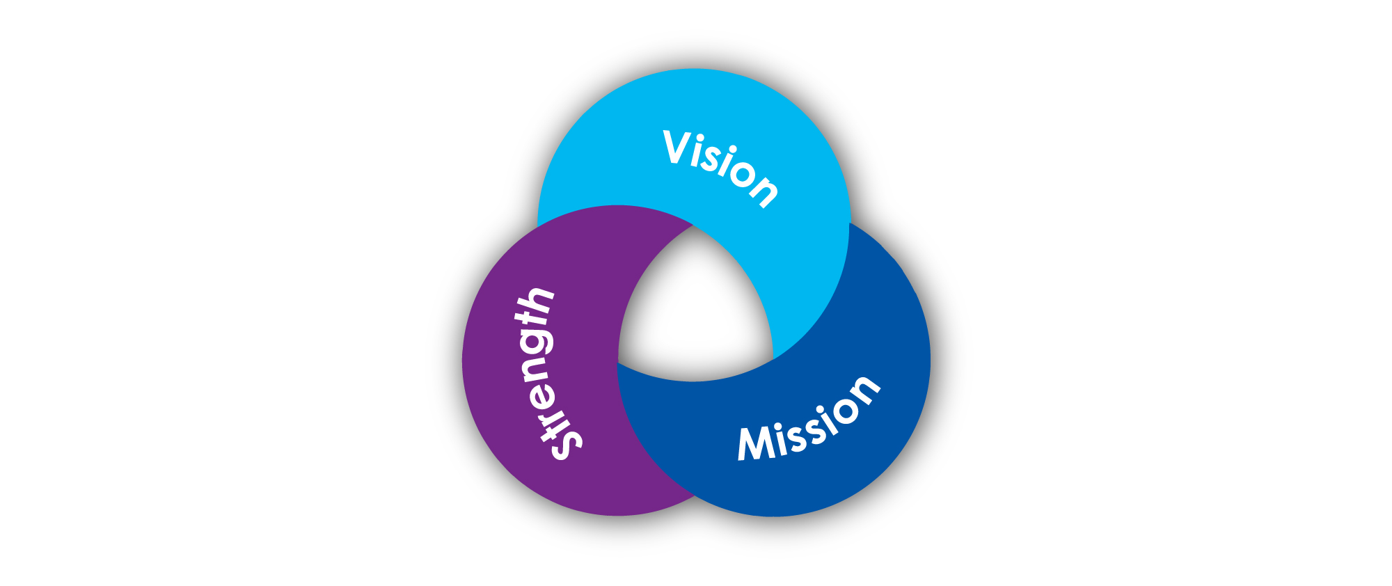 Vision Mission Strength